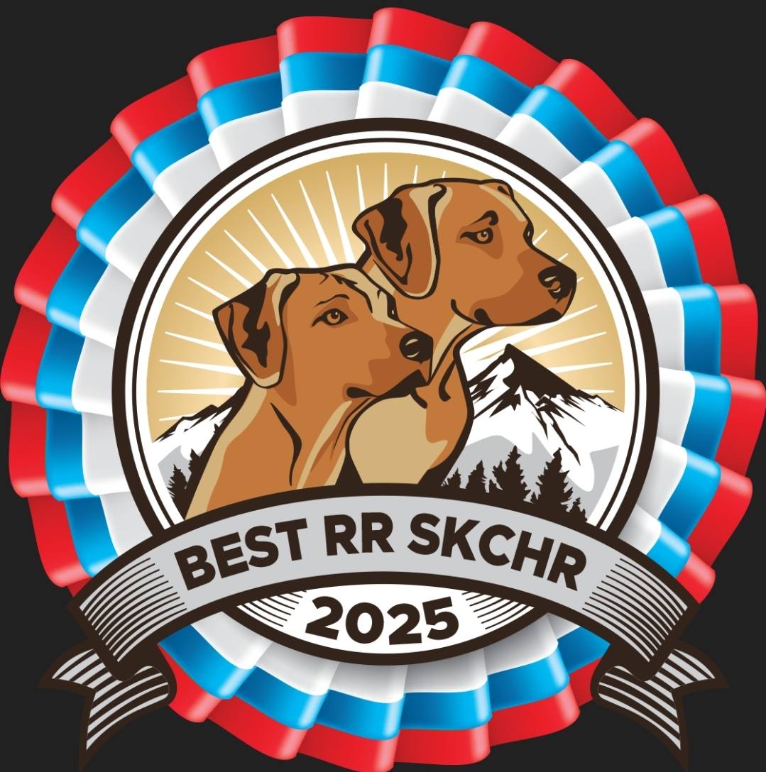 Lehet, hogy egy kép erről: , szöveg, amely így szól: „BEST RR SKCHR 2025”